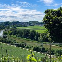 weingut schiterberg schmidf64743b5