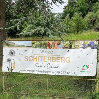 weingut schiterberg schmid img